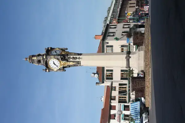 Monte Escalier Solution Monte escalier Tassin-la-Demi-Lune
