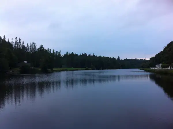 Solutions Monte Escalier Pose monte escalier Inzinzac-Lochrist