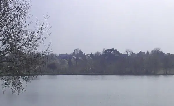 Solutions Monte Escalier Pose monte escalier La Bazoge