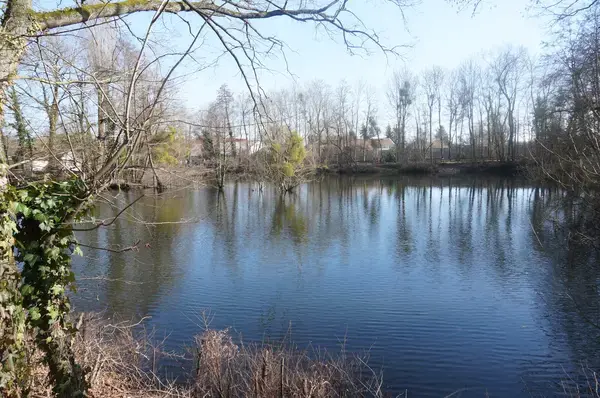 Solutions Monte Escalier Pose monte escalier La Chapelle-Saint-Luc