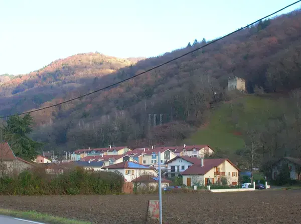 Solutions Monte Escalier Pose monte escalier Le Versoud