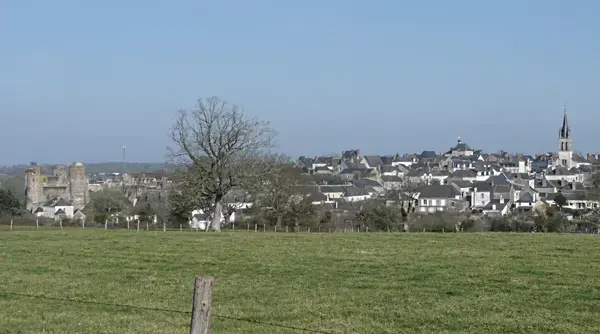 Solutions Monte Escalier Pose monte escalier Ombrée d'Anjou