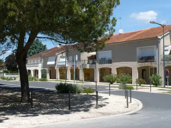 Solutions Monte Escalier Pose monte escalier Pineuilh