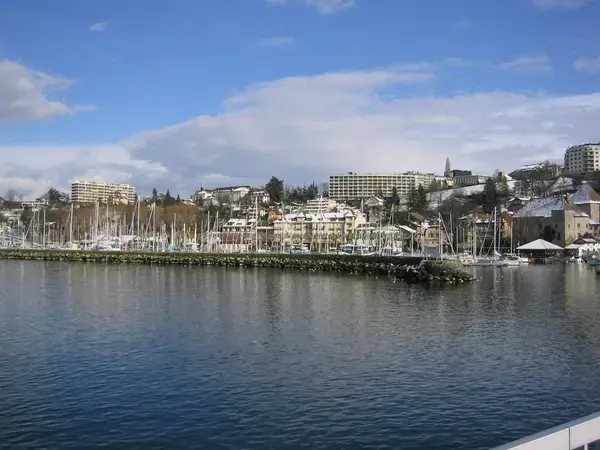 Solutions Monte Escalier Pose monte escalier Thonon-les-Bains