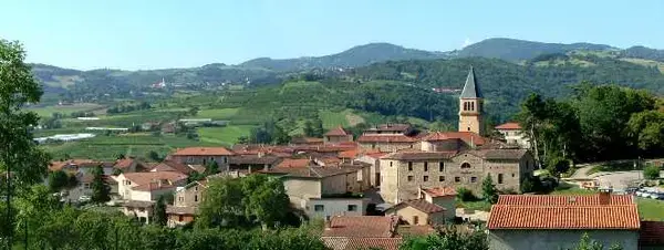 Solutions Monte Escalier Pose monte escalier Thurins