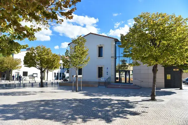 Solutions Monte Escalier Pose monte escalier Vic-la-Gardiole