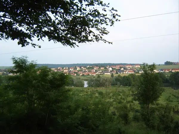 Solutions Monte Escalier Pose monte escalier Woustviller
